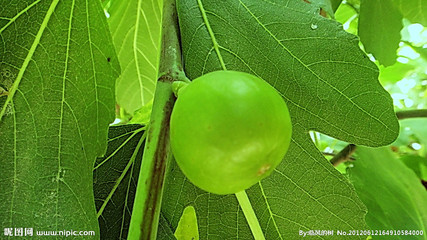 ���Ͻ��~����-�o(w��)������ȡ��   